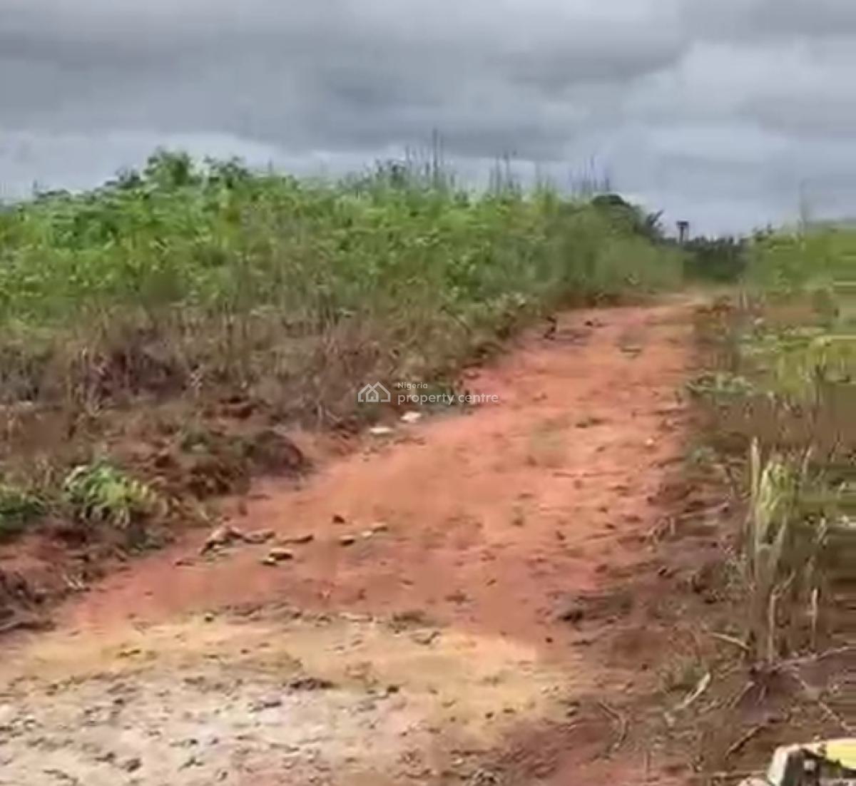 Prime Affordable Land Along Airport Road, Along Chuba Okadigbo Airport, Onocha Nteje, Oyi, Anambra, Land for Sale