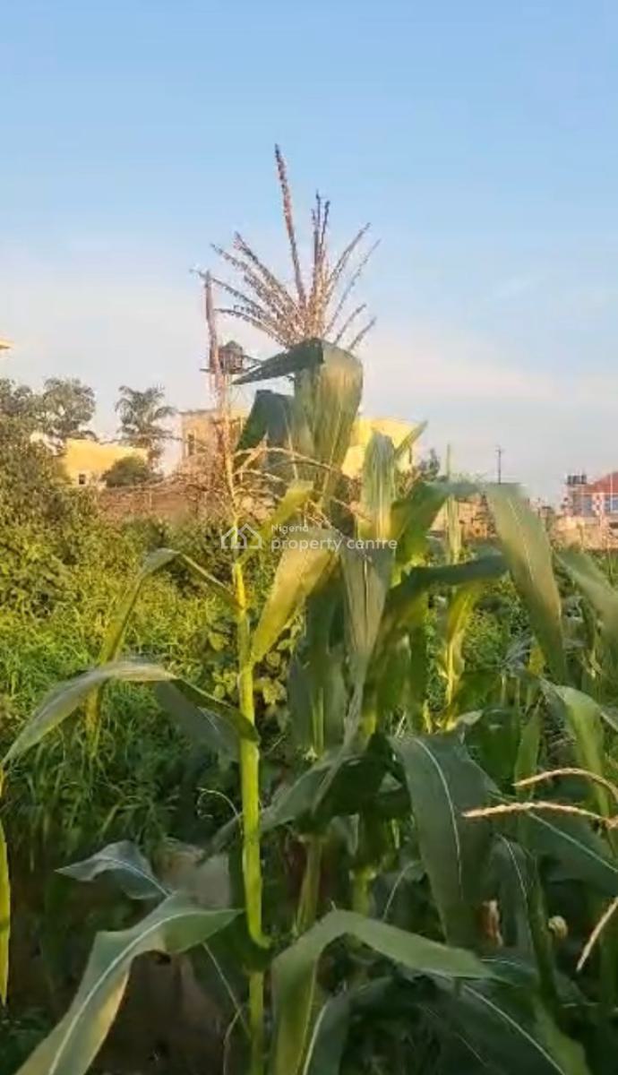 Land, Guzape District, Abuja, Residential Land for Sale