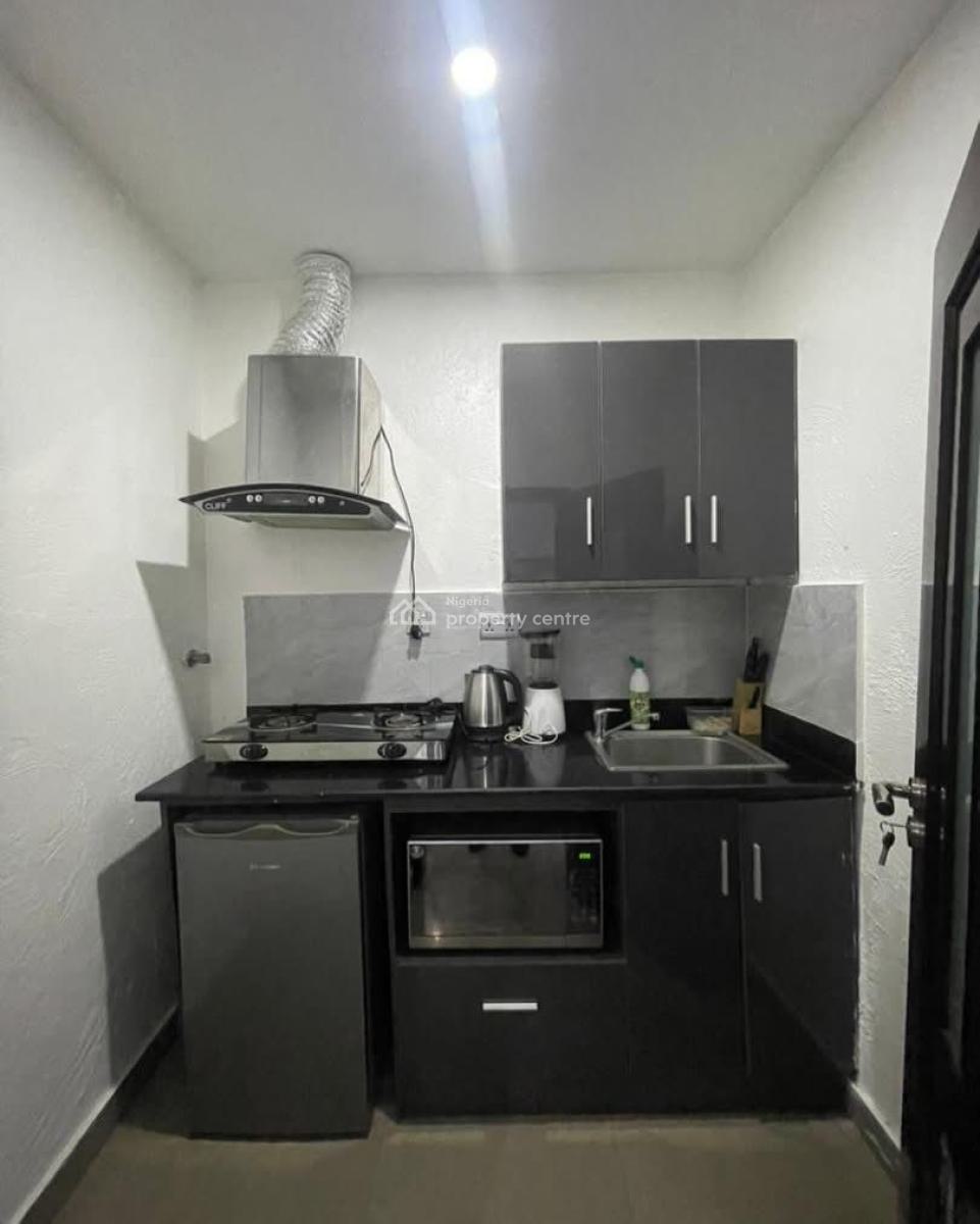 Fully Service and Furnished Miniflat, Victoria Island (vi), Lagos, Mini Flat (room and Parlour) for Rent