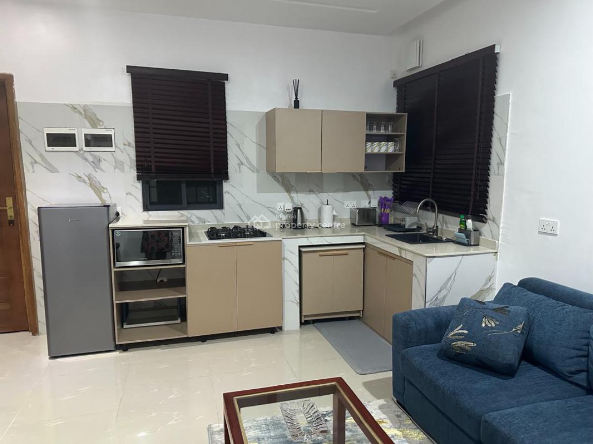 Fully Furnished 1 Bedroom Apartment, Ikoyi, Lagos, Mini Flat (room and Parlour) for Rent