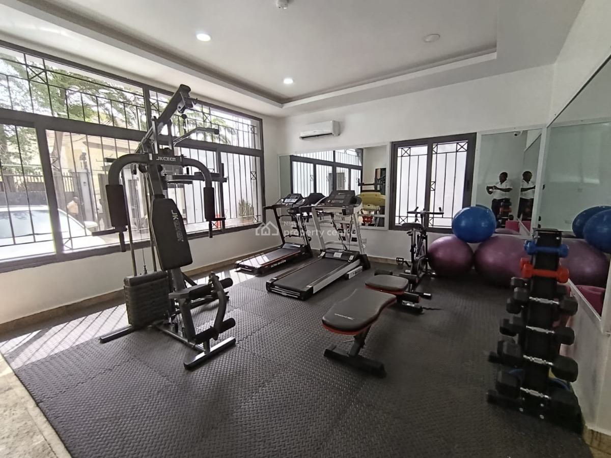 Smartly Designed 2 Bedroom Furnished Apartment,gym,24/7 Power Supply, Serene and Highly Secured Neighborhood, Garki, Abuja, Flat / Apartment for Rent