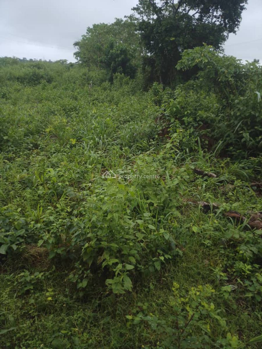 Full Plot of Land, Oluwakemi Estate Elebu, Oluyole, Oyo, Mixed-use Land for Sale