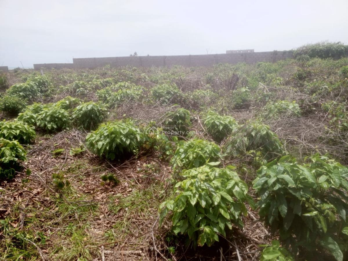 Premium Beachfront Land  at Kings Ocean View Estate, Monastery, Kings Ocean View Estate, Monastery Road, Sangotedo (facing Coastal Roa, Lekki, Lagos, Mixed-use Land for Sale