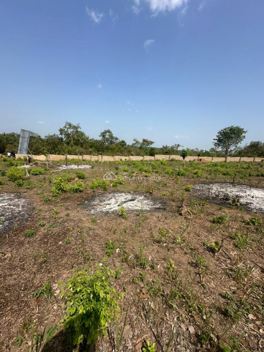 Agricultural Land for Palm Kernel Farming, Alabata, Funaab, Abeokuta South, Ogun, Mixed-use Land for Sale