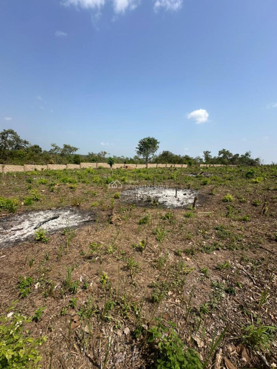 Agricultural Land for Palm Kernel Farming, Alabata, Funaab, Abeokuta South, Ogun, Mixed-use Land for Sale