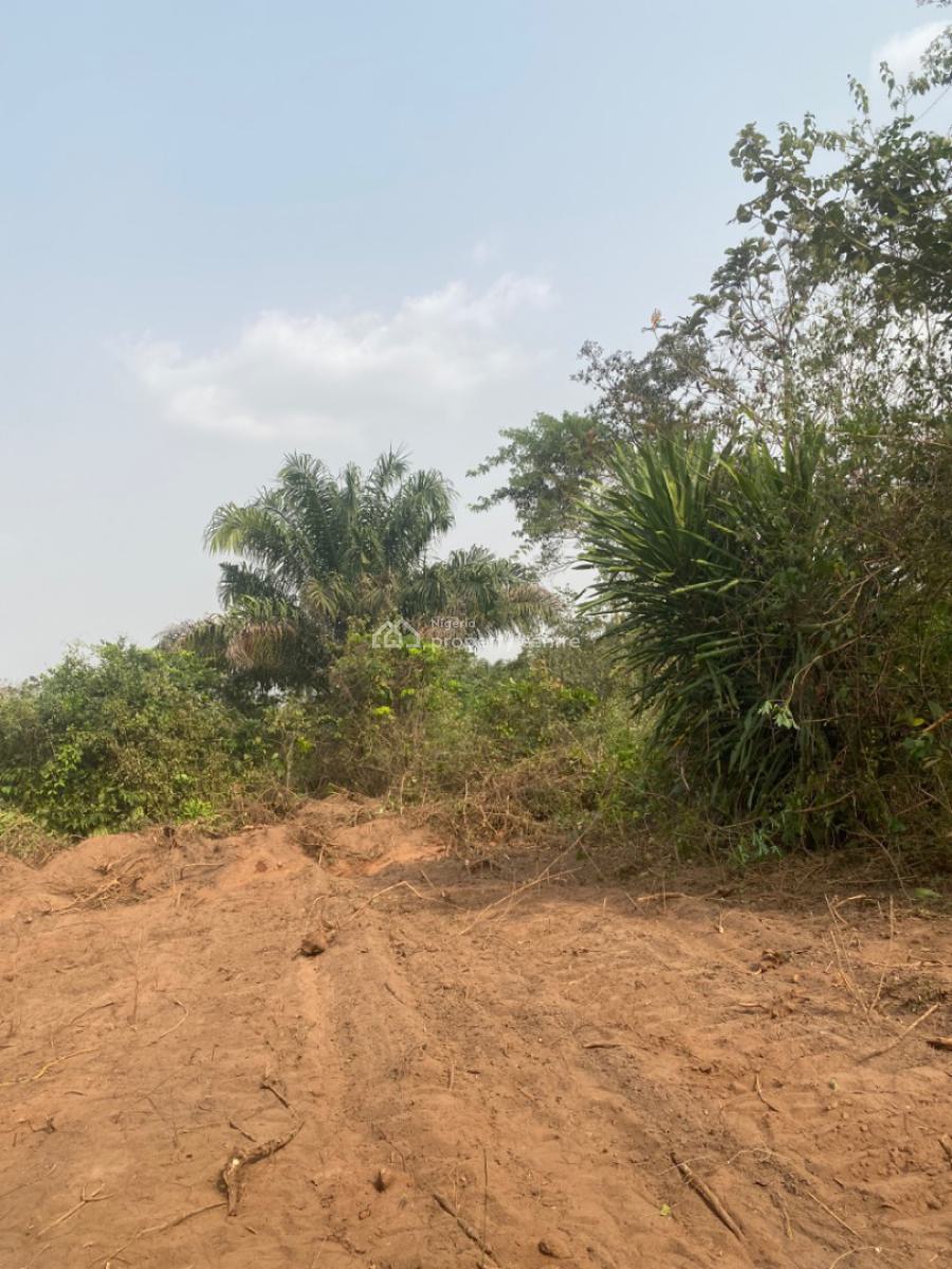 Buy Cocoa Land and Earn Annually From It, Earn Up to 6million Yearly, Obafemi Owode, Ogun, Mixed-use Land for Sale