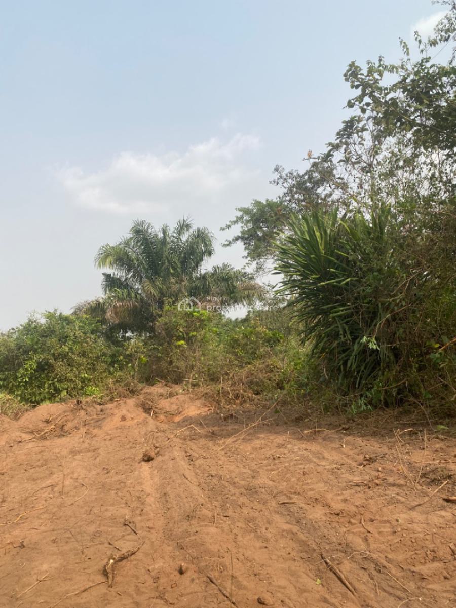 Buy Cocoa Land and Earn Annually From It, Earn Up to 6million Yearly, Obafemi Owode, Ogun, Mixed-use Land for Sale