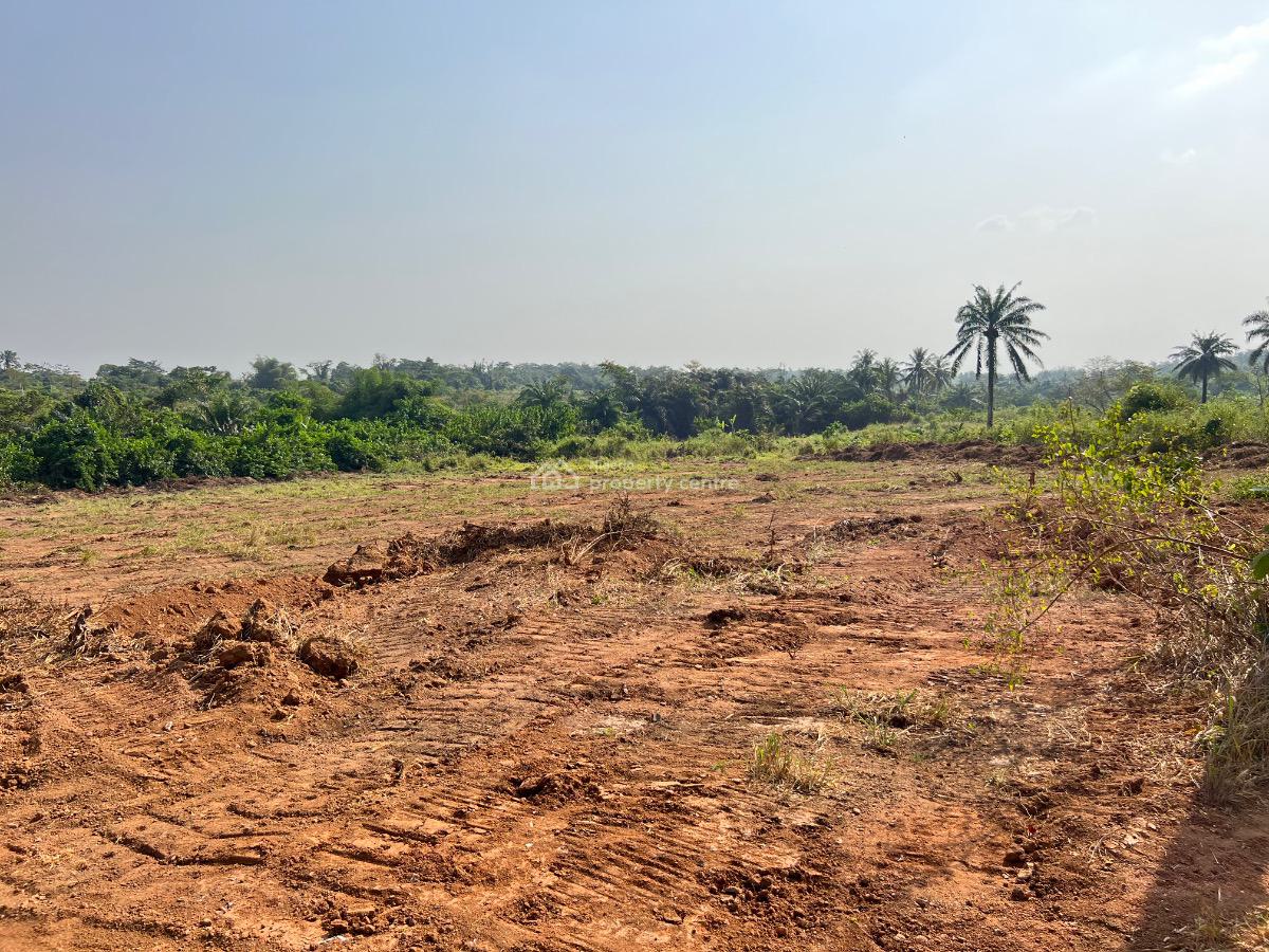 Most Affordable Farm Land with Profitable Crops, Olodo, Abeokuta South, Ogun, Mixed-use Land for Sale