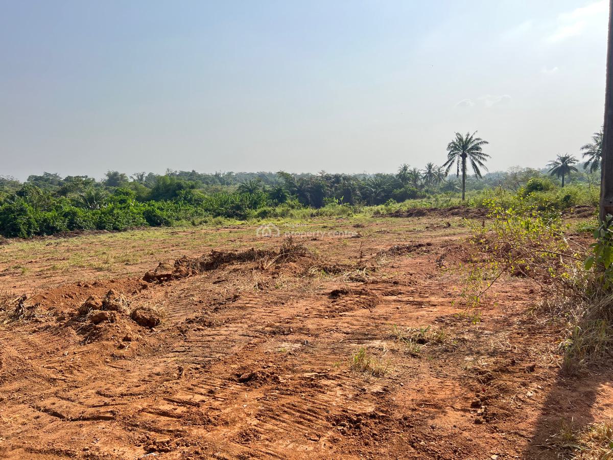 Most Affordable Farm Land with Profitable Crops, Olodo, Abeokuta South, Ogun, Mixed-use Land for Sale