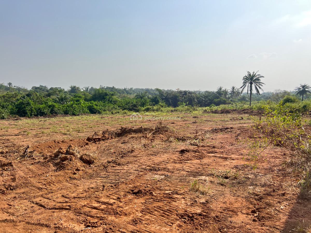 Most Affordable Farm Land with Profitable Crops, Olodo, Abeokuta South, Ogun, Mixed-use Land for Sale