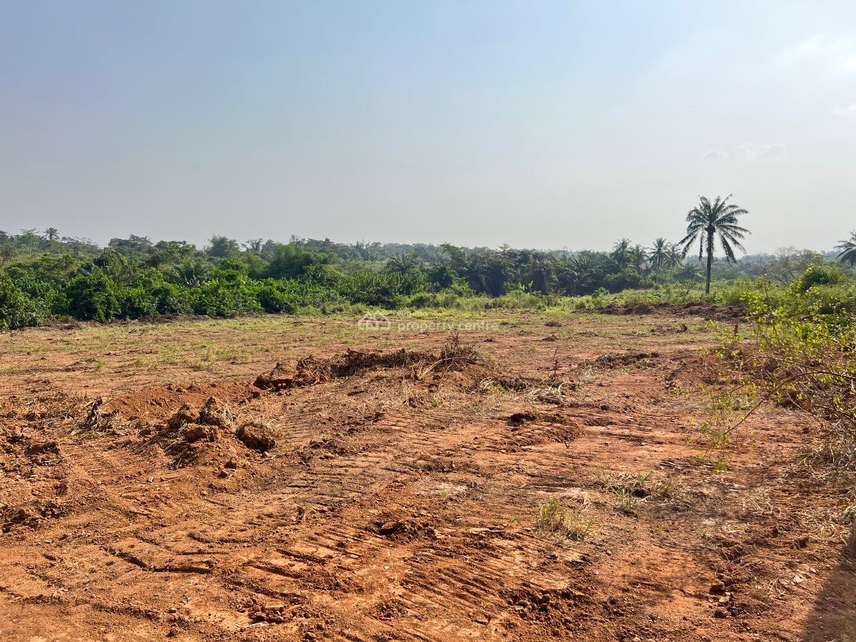 Most Affordable Farm Land with Profitable Crops, Olodo, Abeokuta South, Ogun, Mixed-use Land for Sale