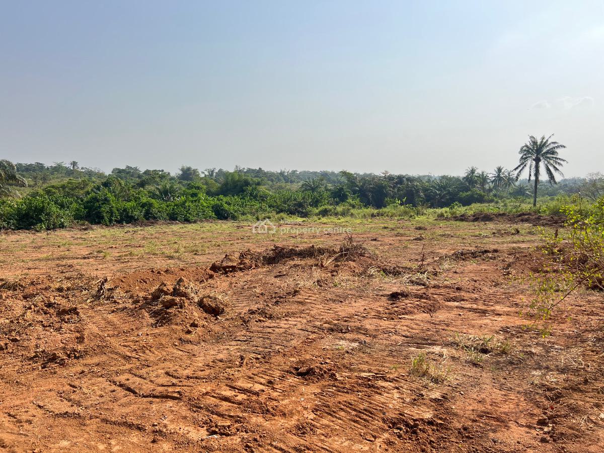 Most Affordable Farm Land with Profitable Crops, Olodo, Abeokuta South, Ogun, Mixed-use Land for Sale