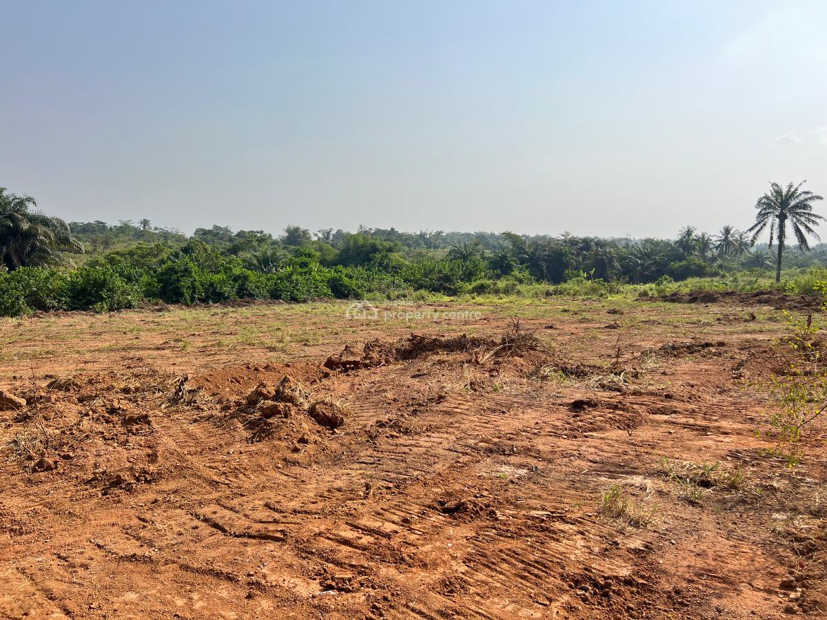 Most Affordable Farm Land with Profitable Crops, Olodo, Abeokuta South, Ogun, Mixed-use Land for Sale