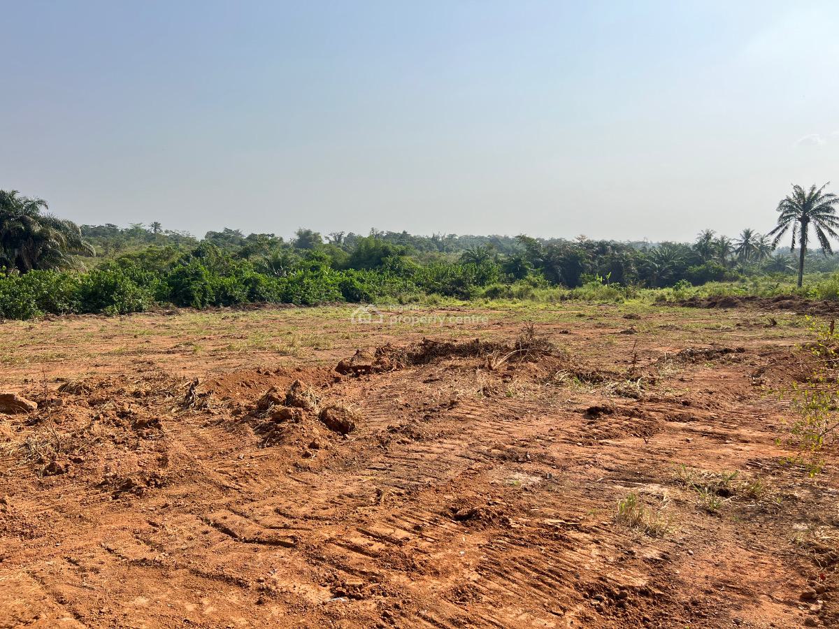 Most Affordable Farm Land with Profitable Crops, Olodo, Abeokuta South, Ogun, Mixed-use Land for Sale