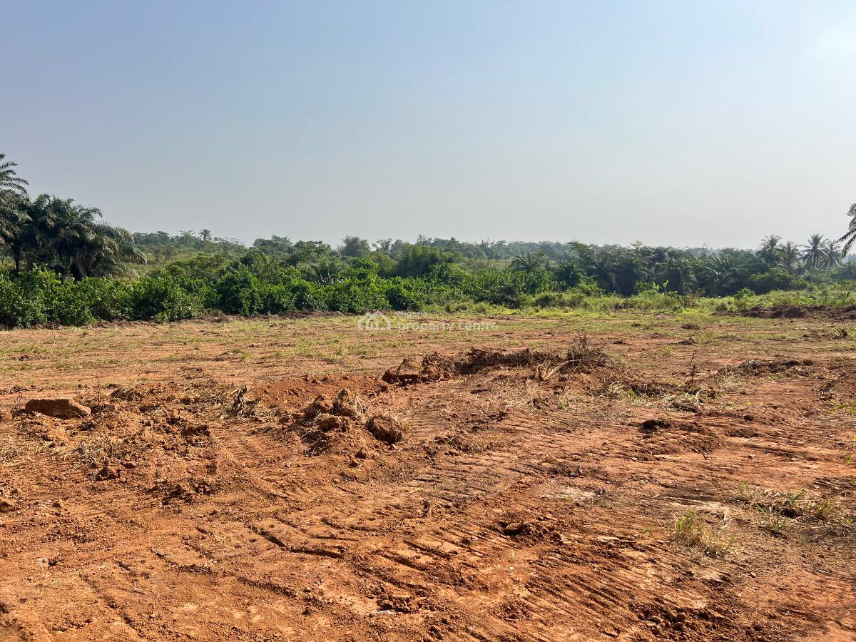 Most Affordable Farm Land with Profitable Crops, Olodo, Abeokuta South, Ogun, Mixed-use Land for Sale