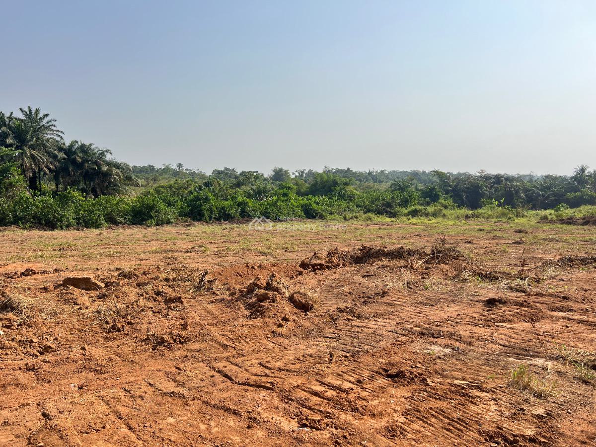 Most Affordable Farm Land with Profitable Crops, Olodo, Abeokuta South, Ogun, Mixed-use Land for Sale