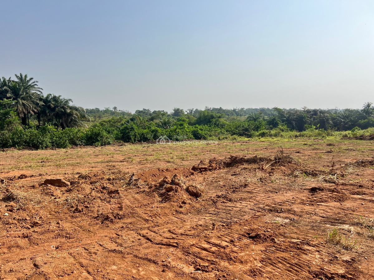 Most Affordable Farm Land with Profitable Crops, Olodo, Abeokuta South, Ogun, Mixed-use Land for Sale