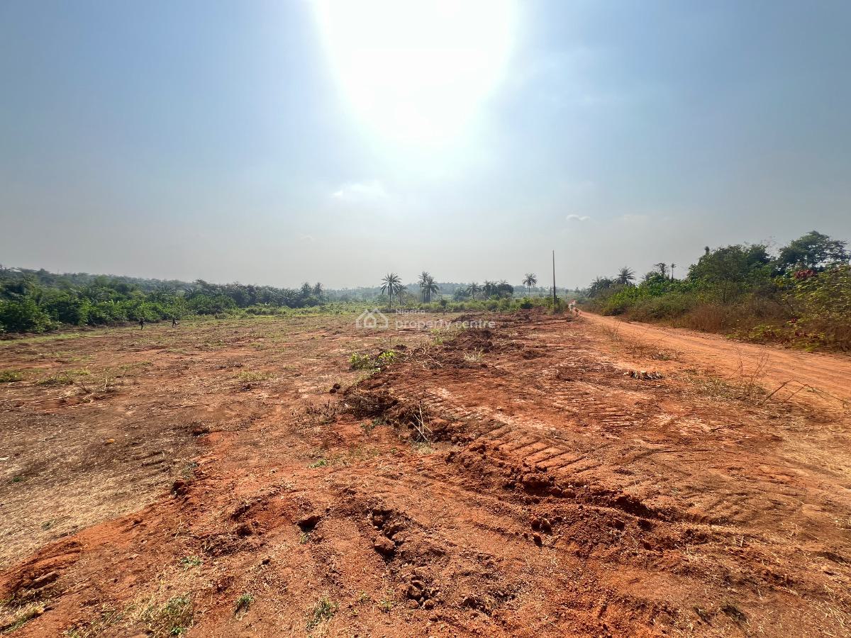 Very Cheap Investment Land with C of O in View, Olodo, Orile Ilawo, Abeokuta South, Ogun, Mixed-use Land for Sale