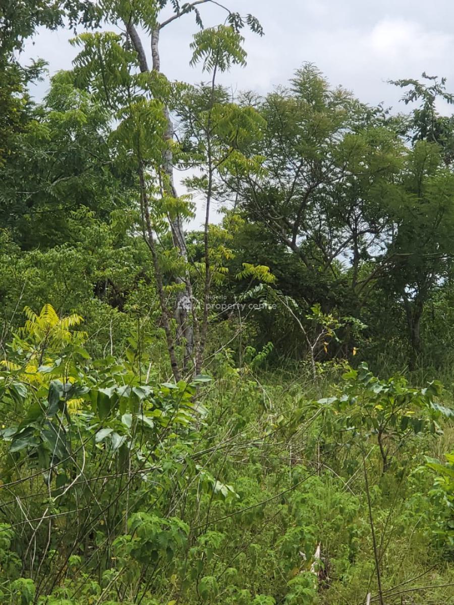 Strategically Located Land on Major Expressway., Sokoto Badagry Express Way, Ibara Orile/ Soyoye Road, Abeokuta North, Ogun, Mixed-use Land for Sale