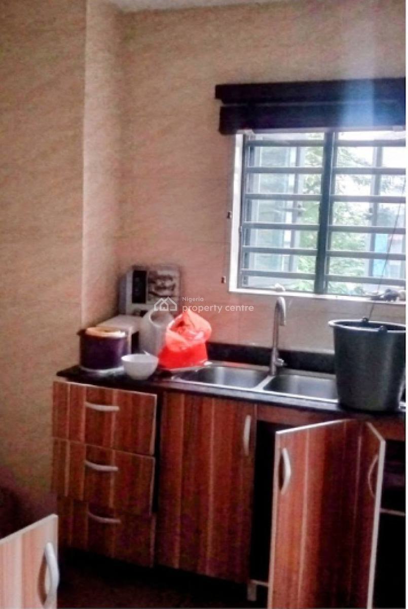 Super Finished Mini Flat, Western Avenue - Bode Thomas, Surulere, Lagos, Mini Flat (room and Parlour) for Rent