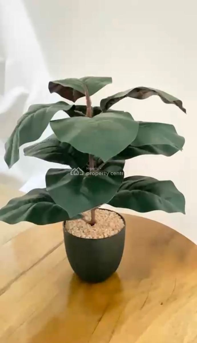 a Luxury Furnished One Bedroom with 24 Hours Electricity and Security, Yaba, Lagos, Mini Flat (room and Parlour) Short Let