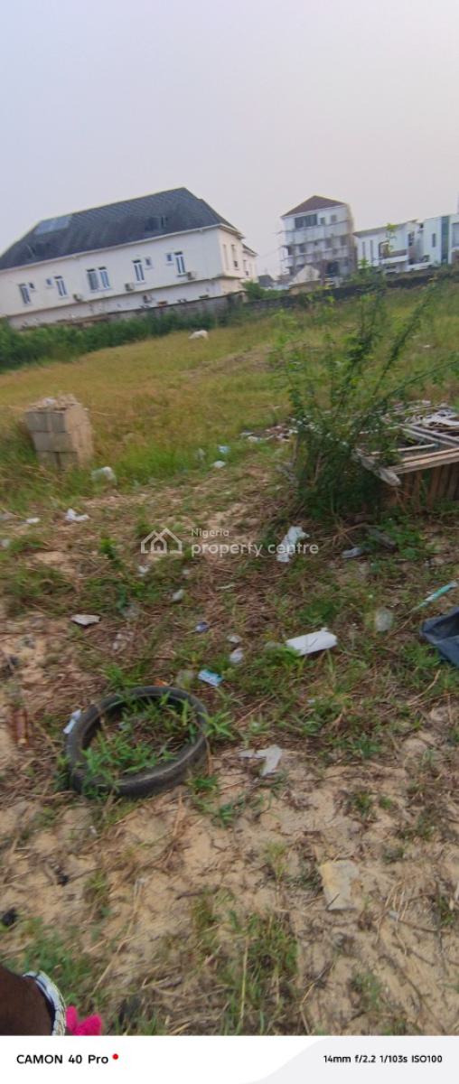 800sqm Land Facing The Express in Ologolo Road, Facing Express By Ologolo Bus Stop, Lekki, Lagos, Mixed-use Land for Sale