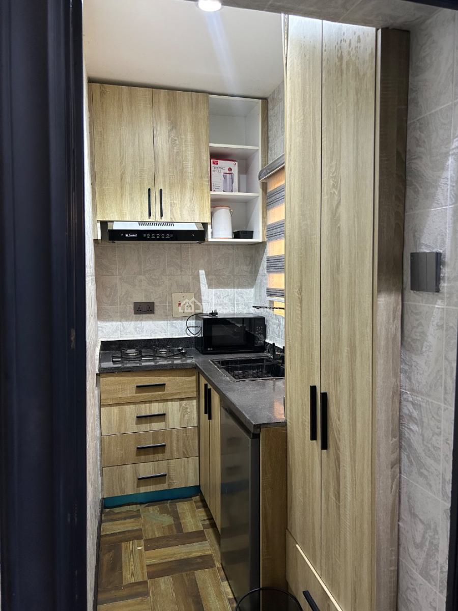 One-bedroom Fully Furnished Flat for Annual Lease -- Durumi, Abuja, 5, Chris Oyahkhilome Crescent, Durumi, Abuja, Mini Flat (room and Parlour) for Rent