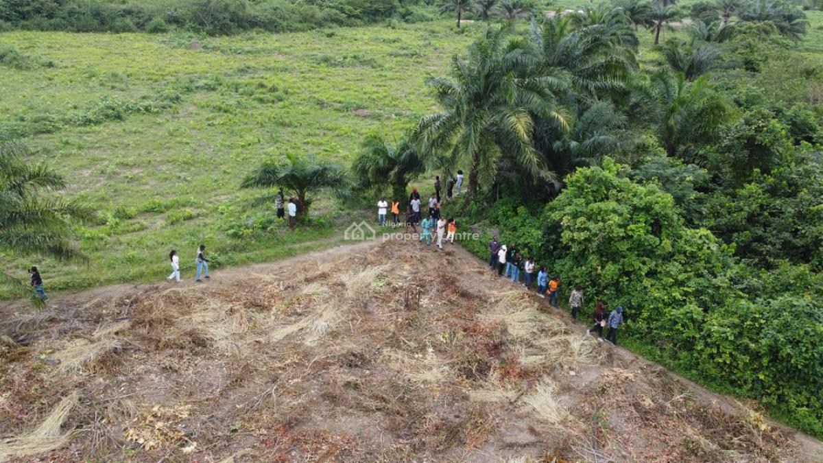 Dryland, Apex Gardens Estate, Ijebu Ode, Ogun, Residential Land for Sale