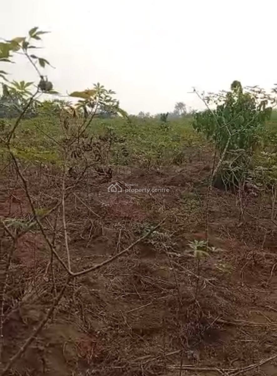 Dry 100 Plots of Land Close to The Road, Itu-ngwa, Aba, Abia, Mixed-use Land for Sale
