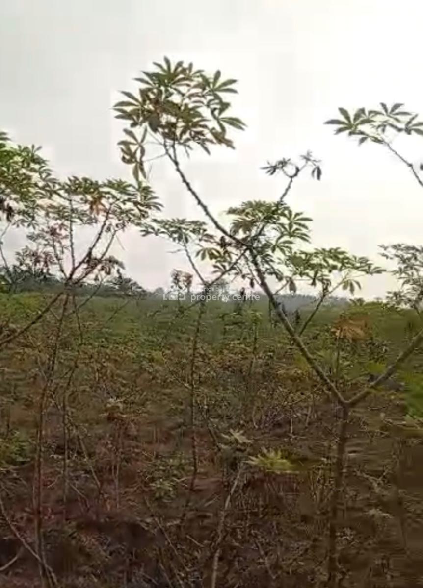 Dry 100 Plots of Land Close to The Road, Itu-ngwa, Aba, Abia, Mixed-use Land for Sale