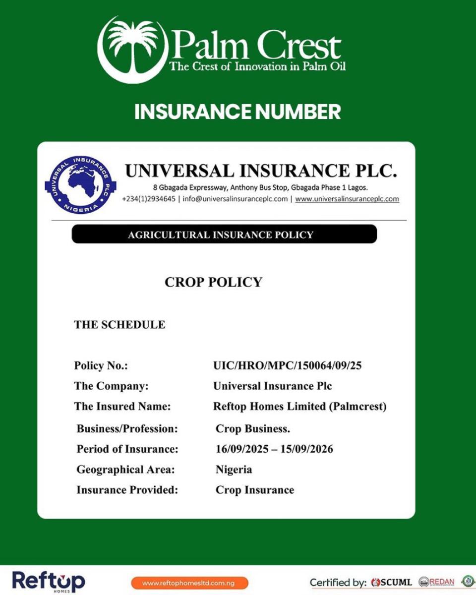 1 Acre of Palm Tree Plantation, Yewa North, Imeko Afon, Ogun, Industrial Land for Sale