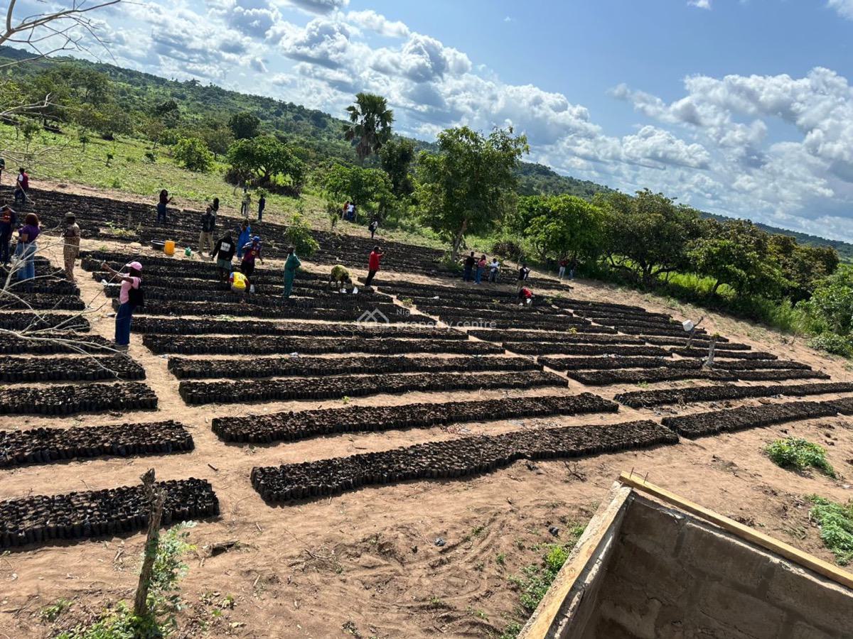 1 Acre of Palm Tree Plantation, Yewa North, Imeko Afon, Ogun, Industrial Land for Sale