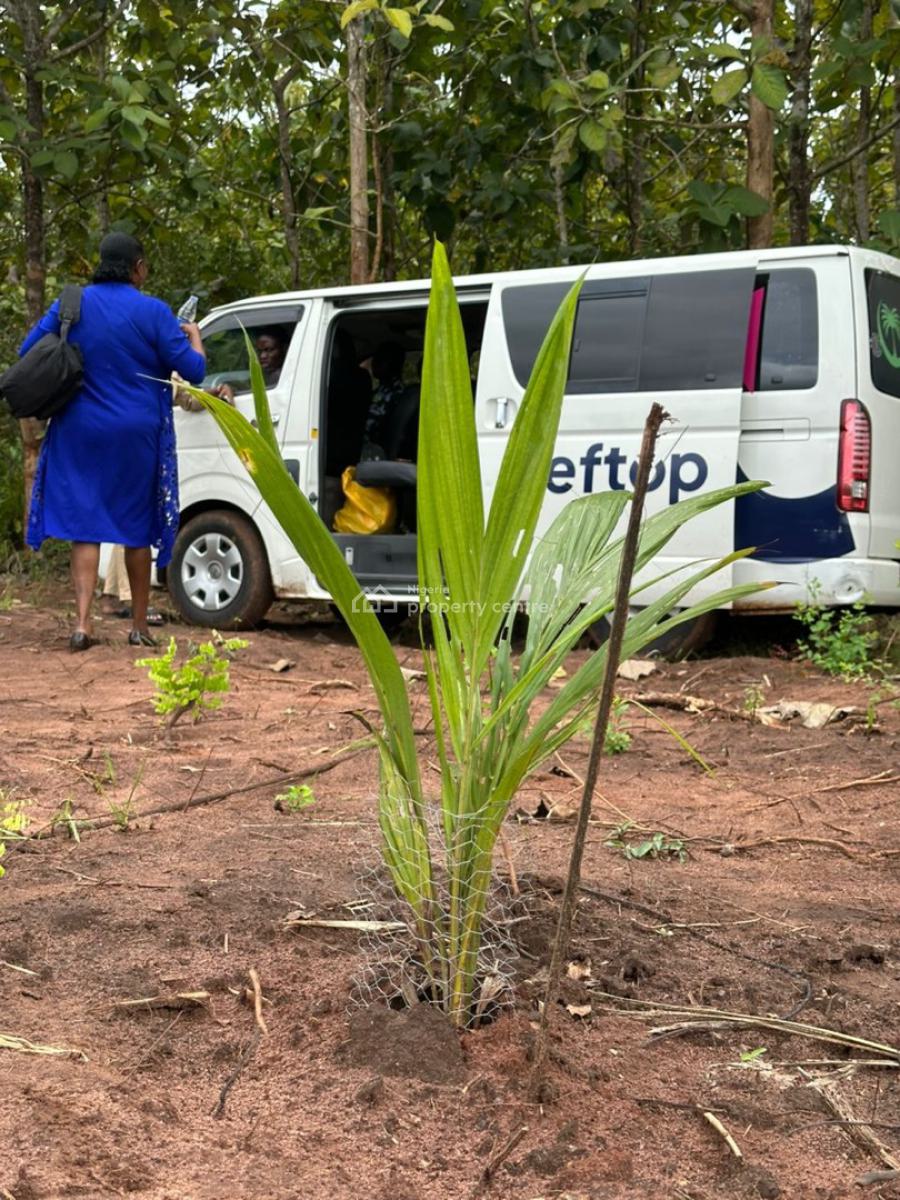 1 Acre of Palm Tree Plantation, Yewa North, Imeko Afon, Ogun, Industrial Land for Sale