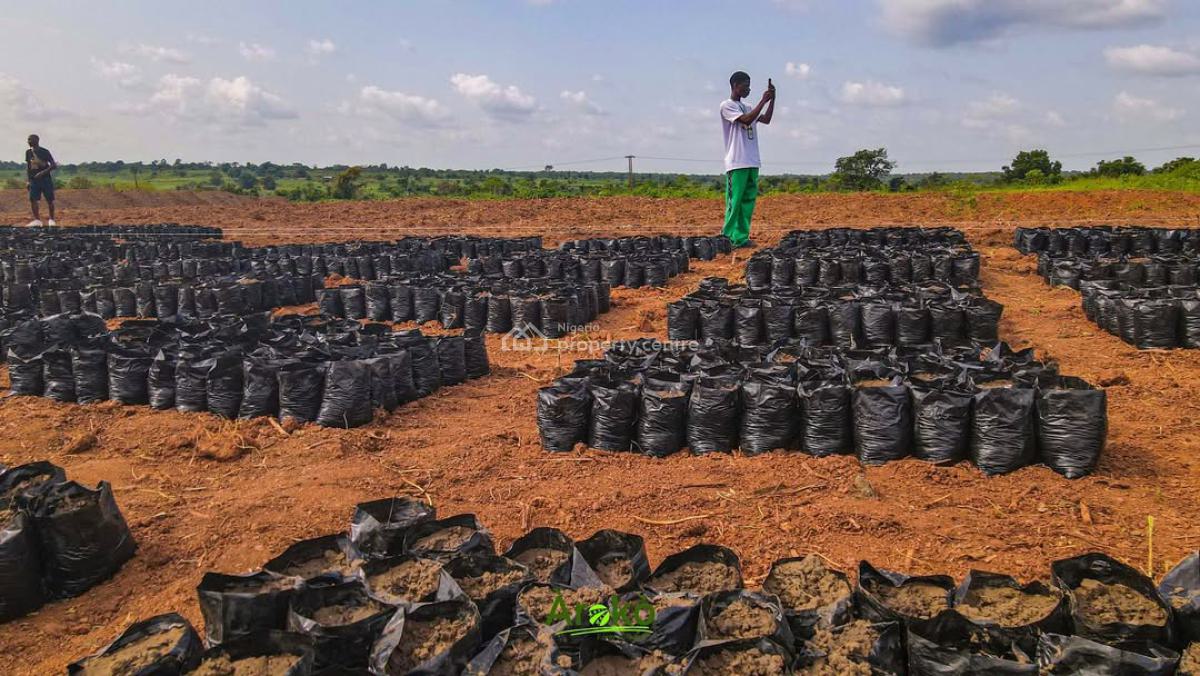 1 Acre of Palm Tree Plantation, Yewa North, Imeko Afon, Ogun, Industrial Land for Sale