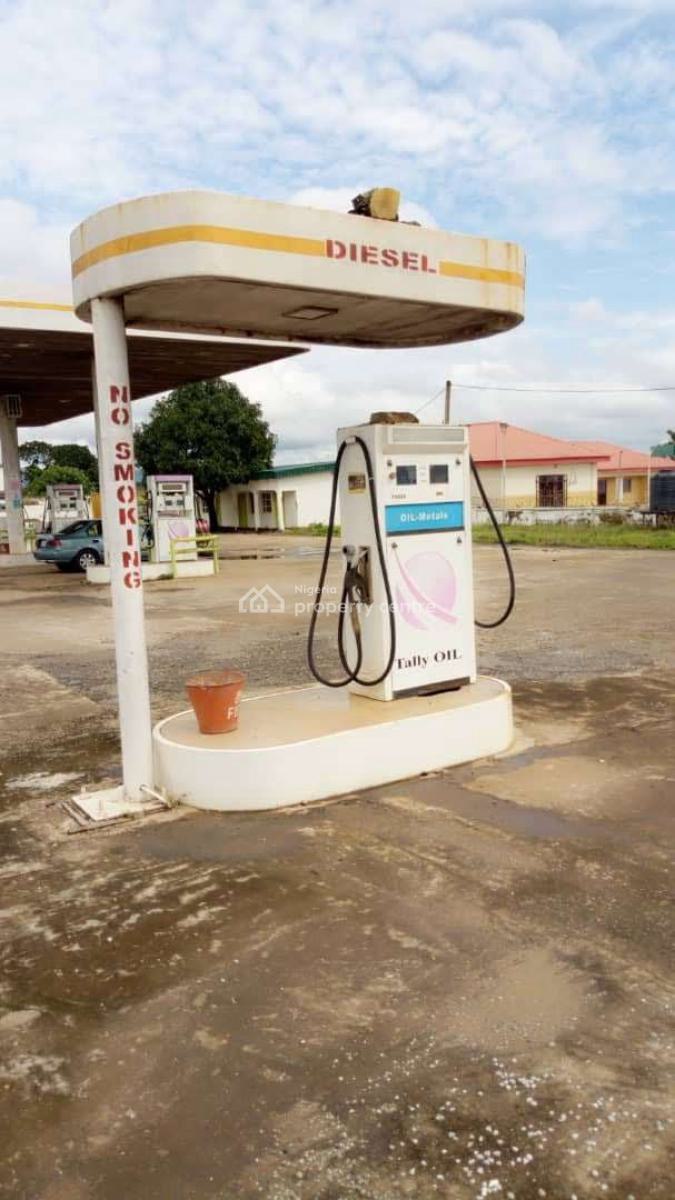 Functional Petrol Station, Oladipo Diya Way, Gudu, Abuja, Filling Station for Sale