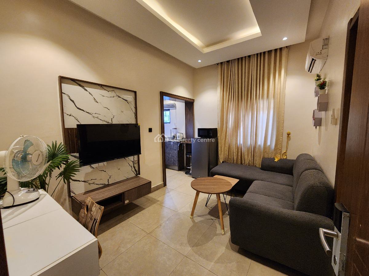 Fully Furnished and Serviced Luxury One Bedroom Apartment at Life Camp, Behind Godab Estate, Life Camp, Abuja, Mini Flat (room and Parlour) for Rent