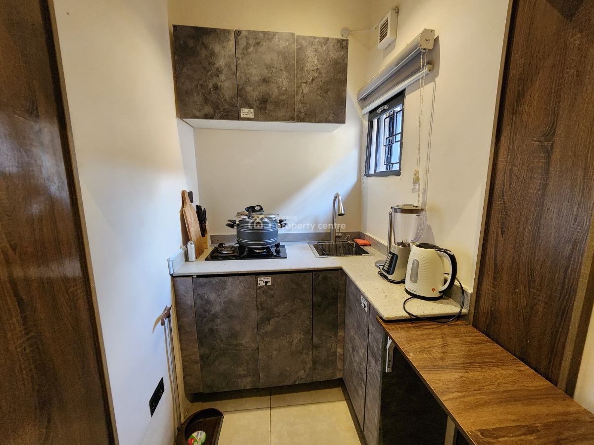 Fully Furnished and Serviced Luxury One Bedroom Apartment at Life Camp, Behind Godab Estate, Life Camp, Abuja, Mini Flat (room and Parlour) for Rent