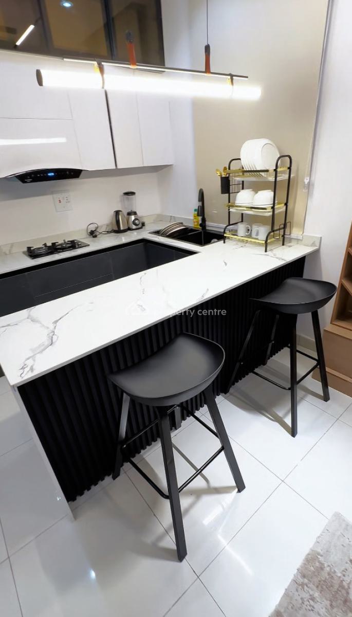 Fully Furnished 2 Bedroom and Studio Apartment in Surulere Lagos, Ojuelegba Surulere Lagos, Surulere, Lagos, Block of Flats for Sale