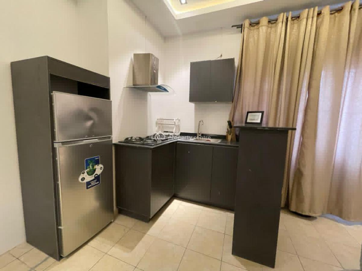 Fully Furnished One Bedroom Apartment, Lekki Phase 1, Lekki, Lagos, Mini Flat (room and Parlour) for Rent
