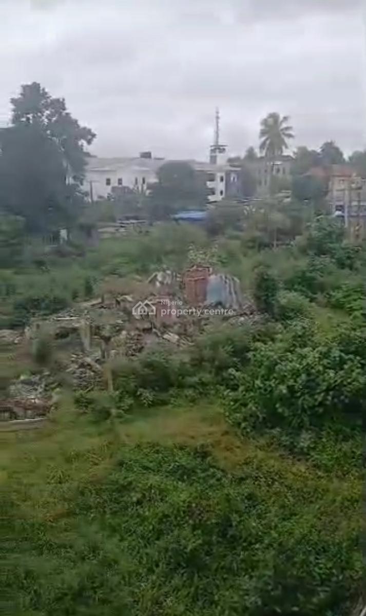 Landed Property, Common Weath Drive, Palmgroove Estate., Palmgrove, Ilupeju, Lagos, Land for Sale