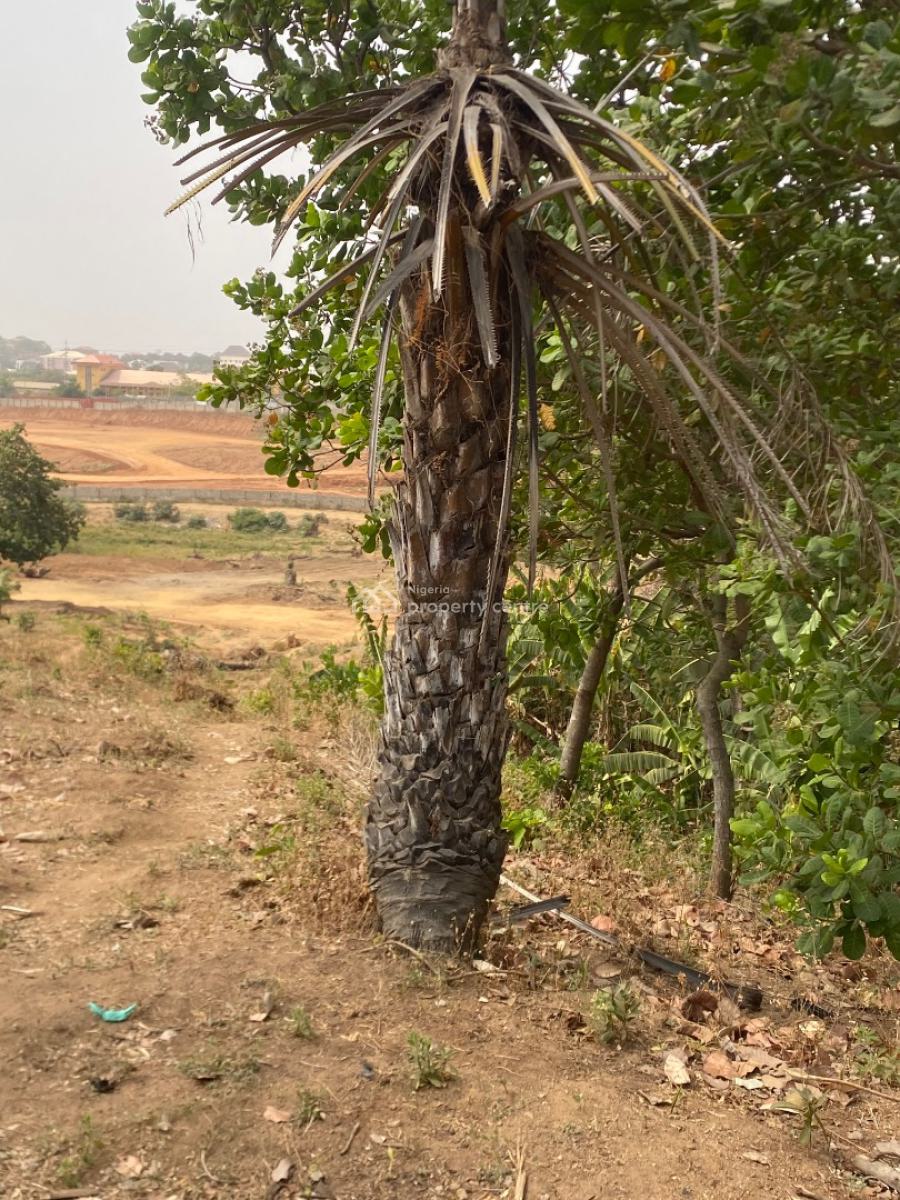 High Valued 5400sqm Land Size  Opposite Maitama, Opposite Maitama (maitama Extension), Mpape, Abuja, Residential Land for Sale