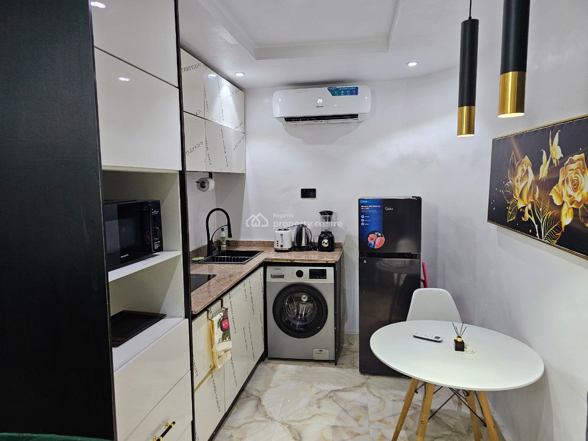 One Bedroom Apartment, Olatunde Ayoola Avenue, Ikeja, Lagos, Mini Flat (room and Parlour) Short Let