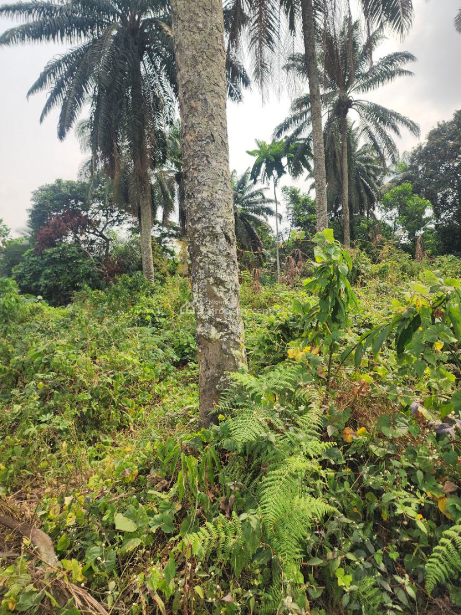 Fantastic Plots of Land, Airport Road, Uyo, Akwa Ibom, Mixed-use Land for Sale