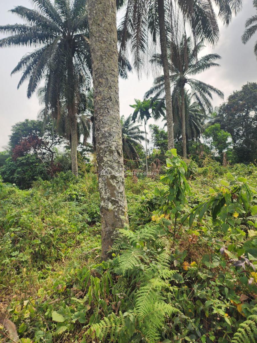 Fantastic Plots of Land, Airport Road, Uyo, Akwa Ibom, Mixed-use Land for Sale