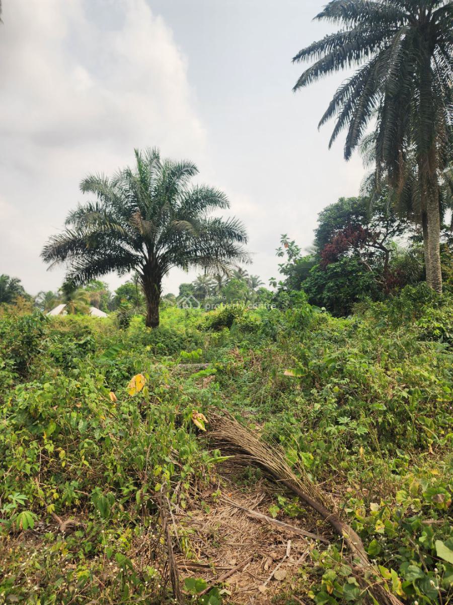 Fantastic Plots of Land, Airport Road, Uyo, Akwa Ibom, Mixed-use Land for Sale