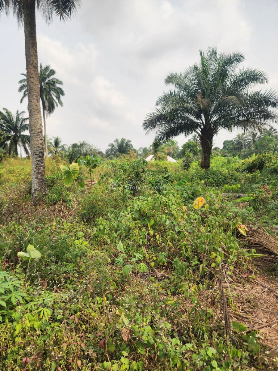 Fantastic Plots of Land, Airport Road, Uyo, Akwa Ibom, Mixed-use Land for Sale