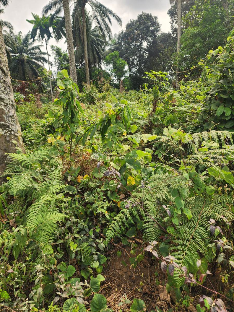 Fantastic Plots of Land, Airport Road, Uyo, Akwa Ibom, Mixed-use Land for Sale