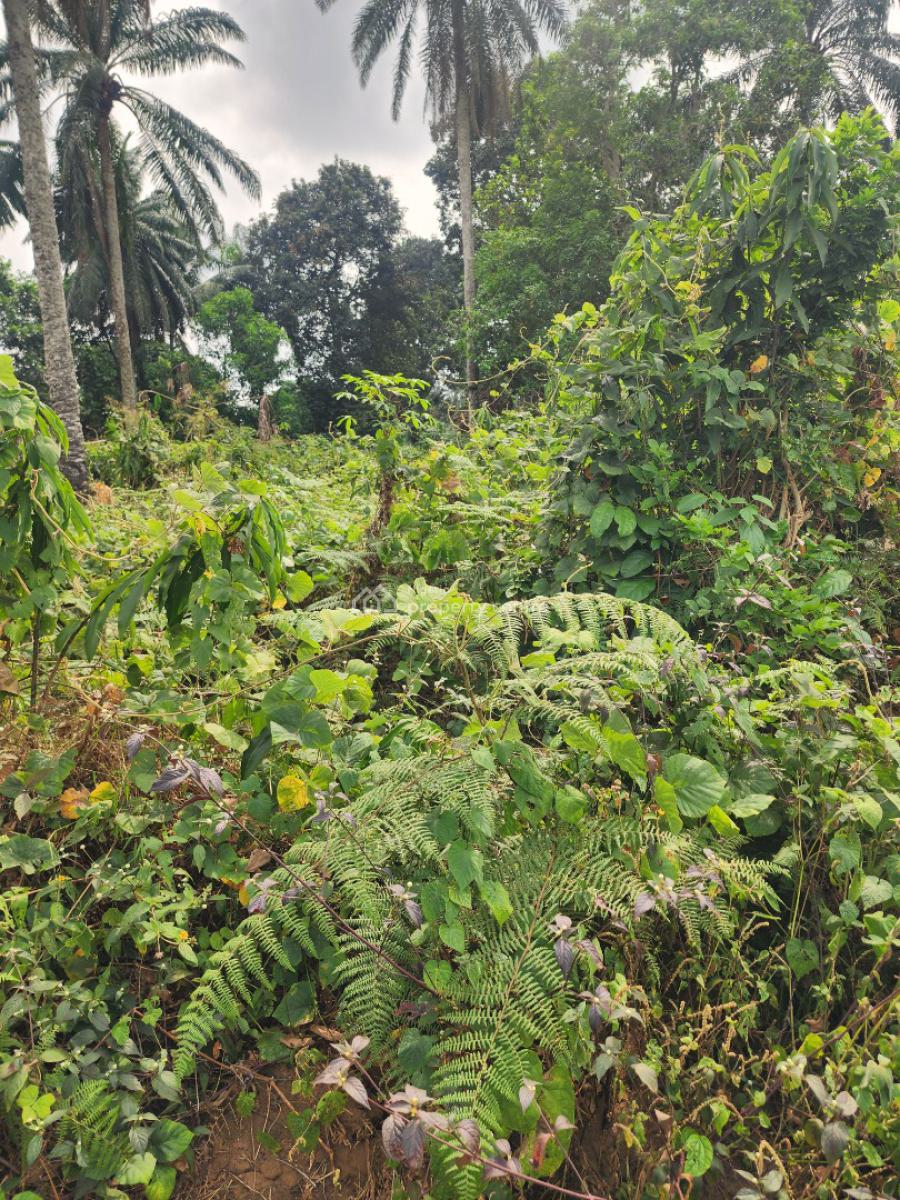 Fantastic Plots of Land, Airport Road, Uyo, Akwa Ibom, Mixed-use Land for Sale