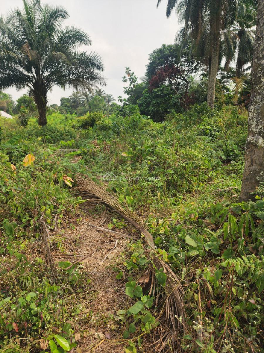 Fantastic Plots of Land, Airport Road, Uyo, Akwa Ibom, Mixed-use Land for Sale