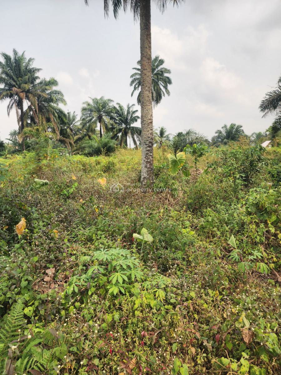 Fantastic Plots of Land, Airport Road, Uyo, Akwa Ibom, Mixed-use Land for Sale